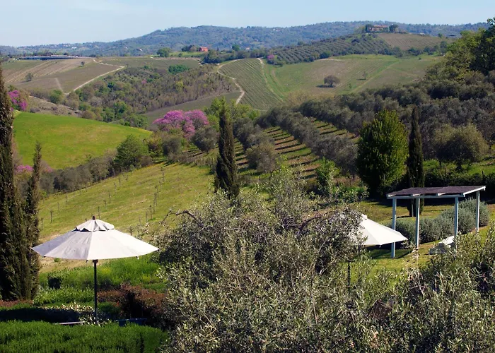 Casale Sterpeti 4* Magliano in Toscana